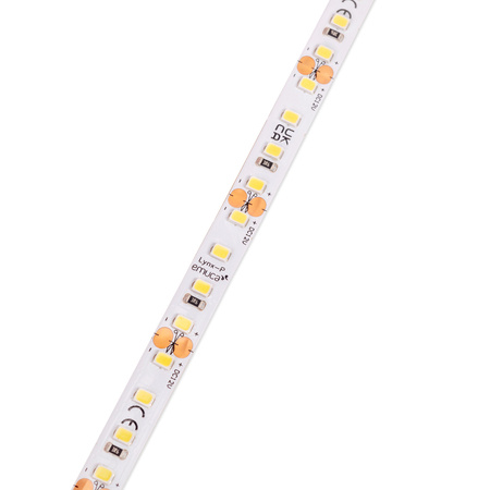 Taśma LED Lynx Premium 14,4W/m IP20, 5 m 3000K